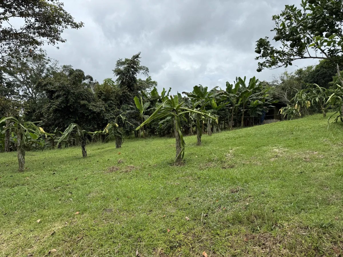 Se vende terreno en La Chorrera