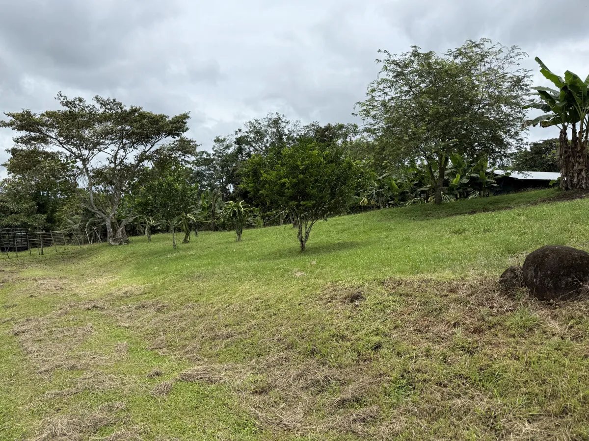 Se vende terreno en La Chorrera