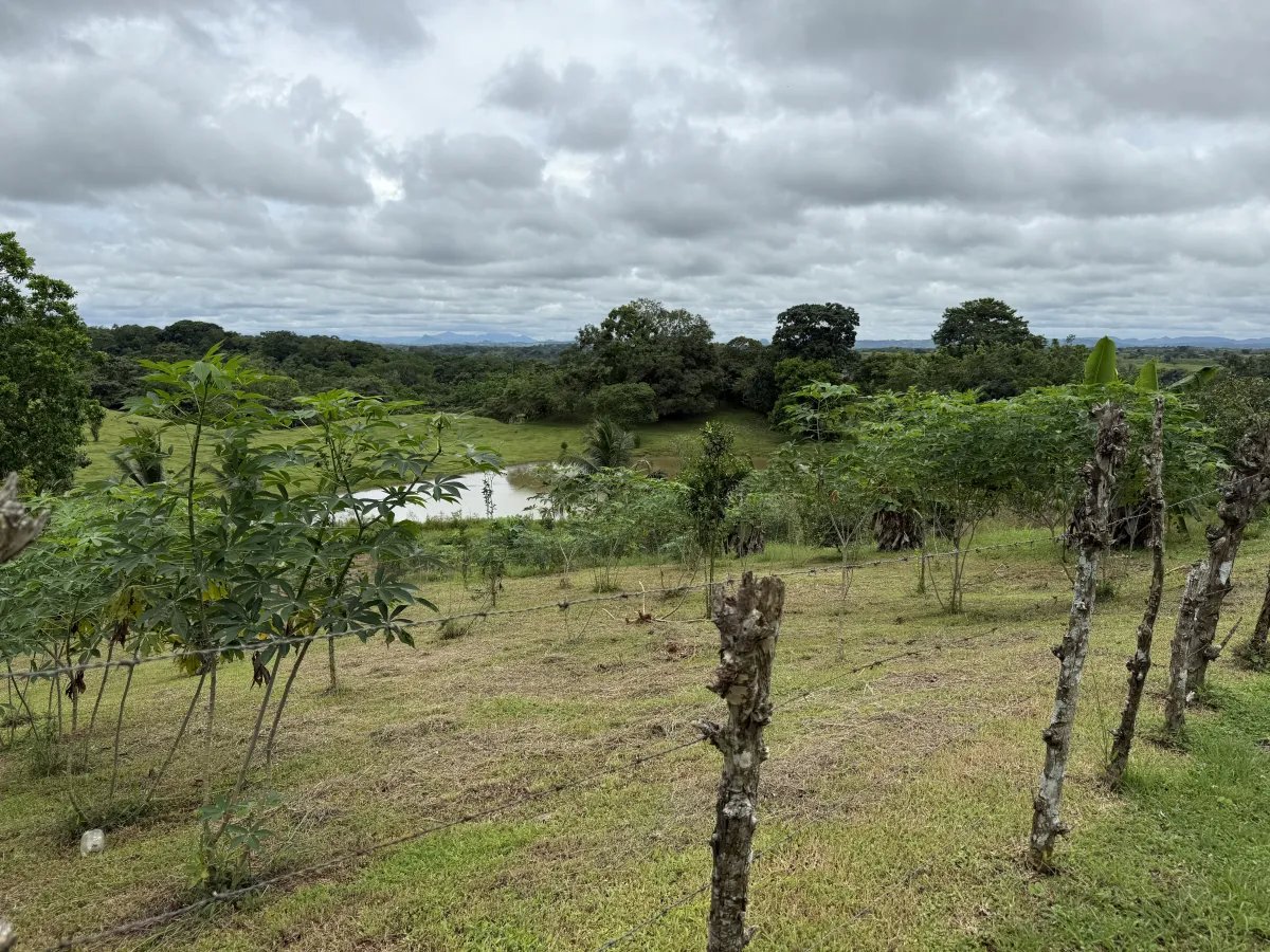 Se vende terreno en La Chorrera