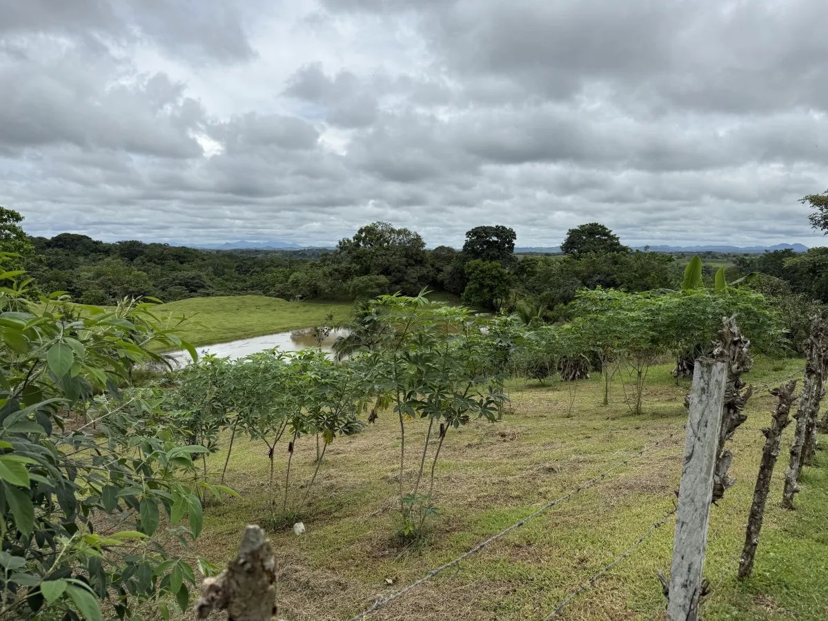 Se vende terreno en La Chorrera