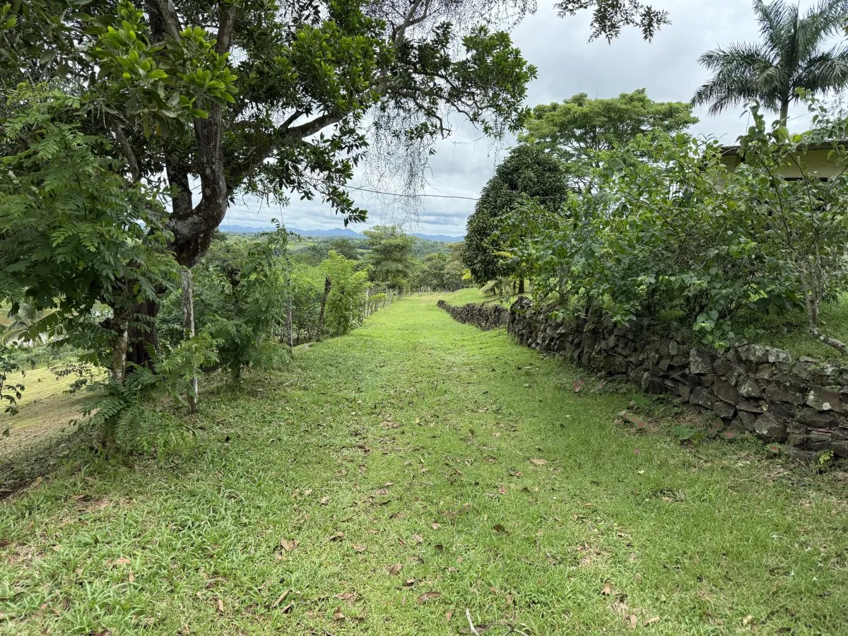 Se vende terreno en La Chorrera
