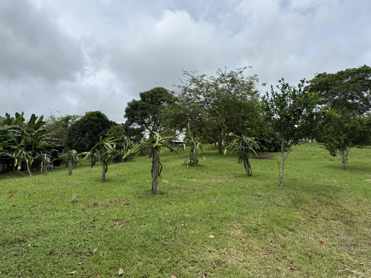 Se vende terreno en La Chorrera