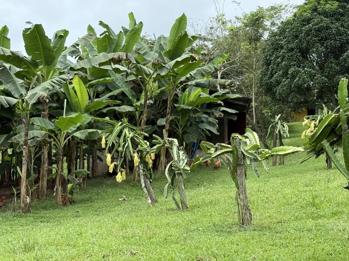 Se vende terreno en La Chorrera