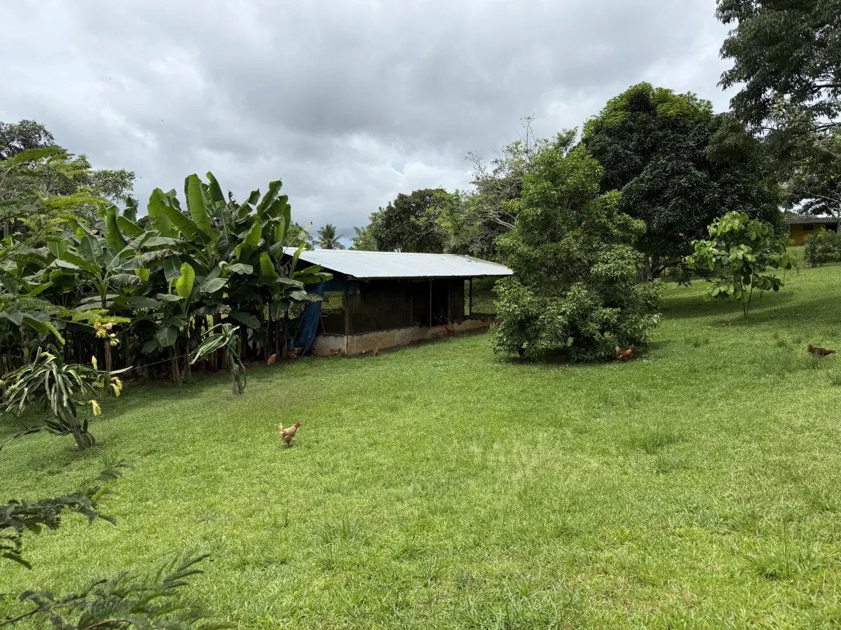 Se vende terreno en La Chorrera