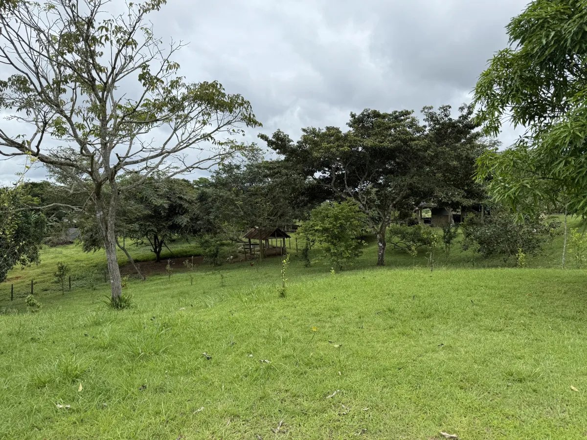 Se vende terreno en La Chorrera