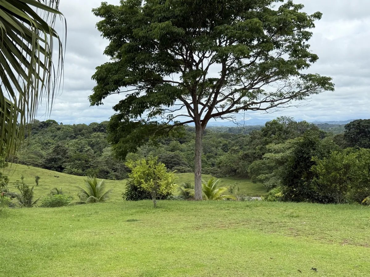 Se vende terreno en La Chorrera