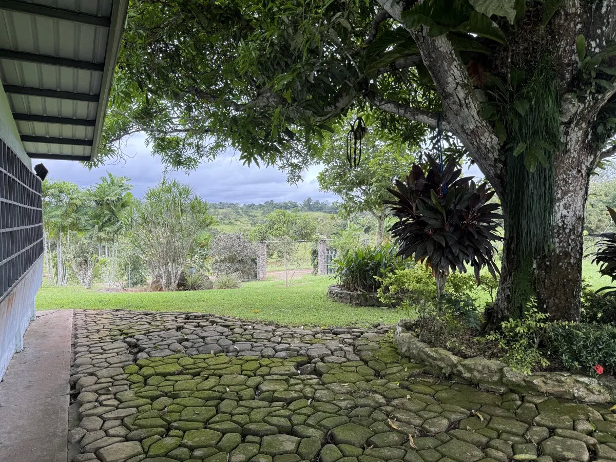 Se vende terreno en La Chorrera