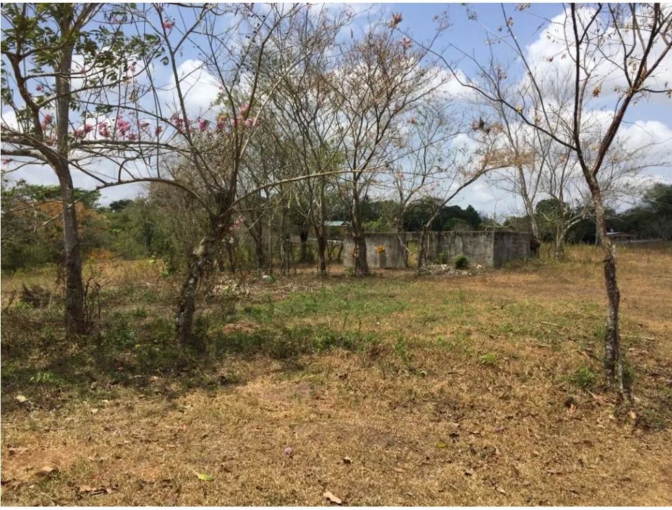 Building Lot for sale in Chorrera
