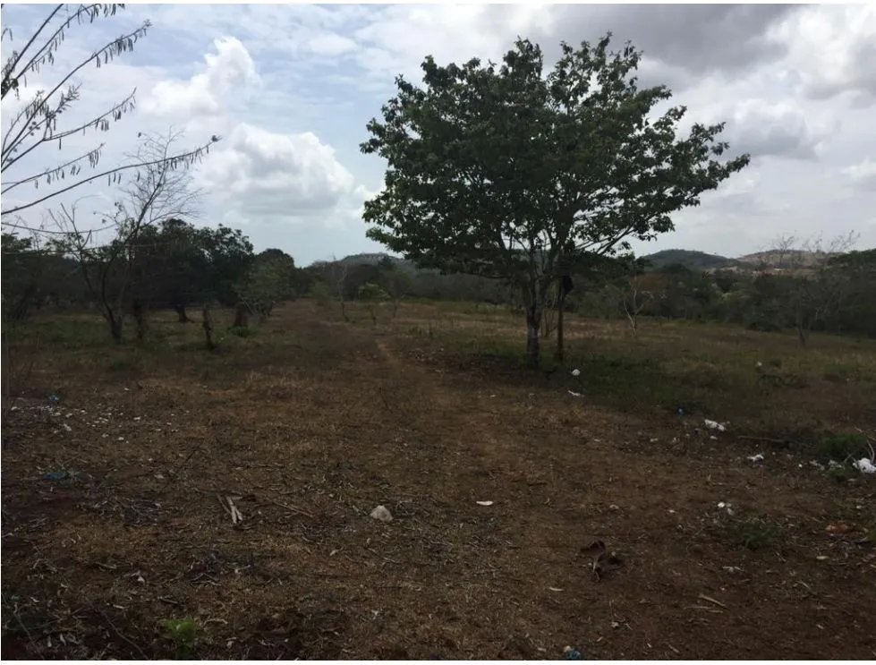 Venta de terreno en El Arado, La Chorrera