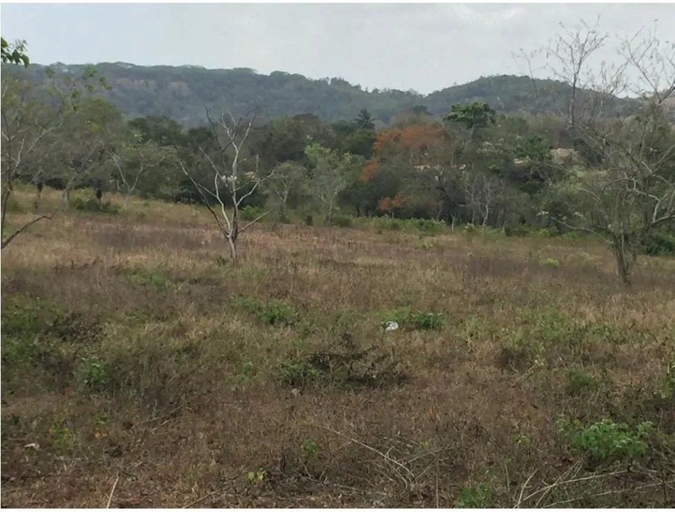 Venta de terreno en El Arado, La Chorrera