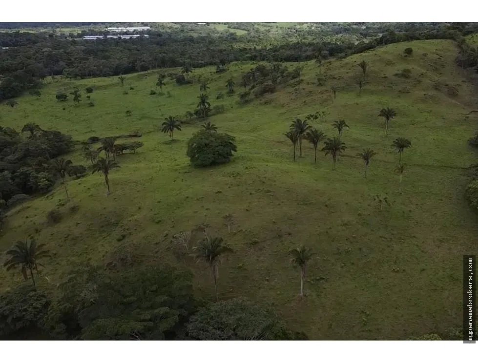 Se vende finca en La Chorrera, Panama Oeste