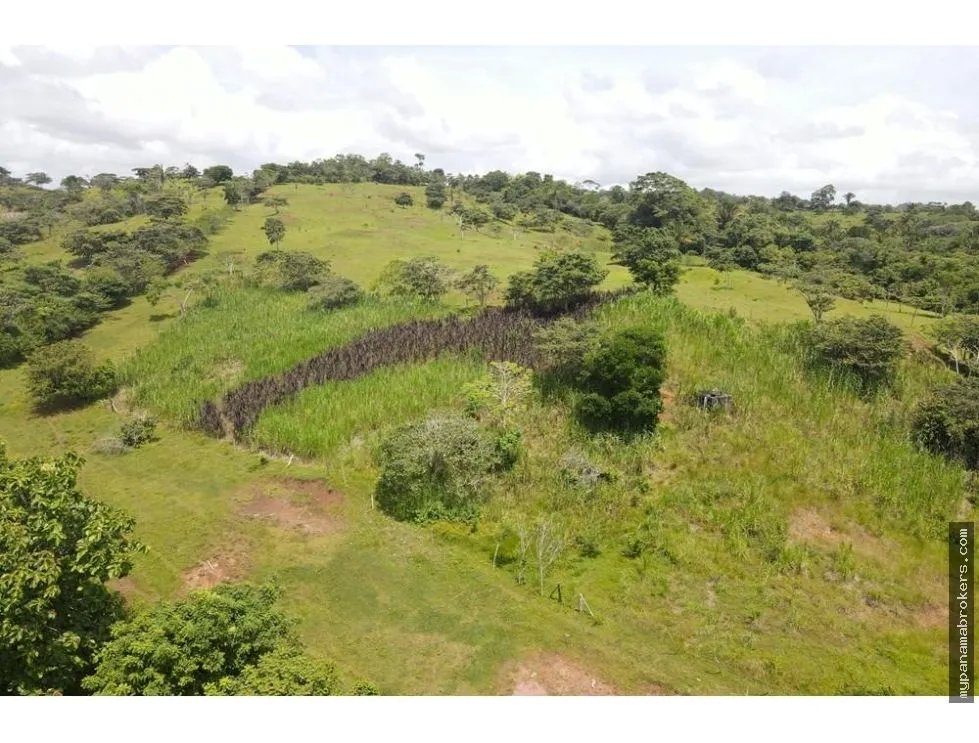 Se vende finca en La Chorrera, Panama Oeste