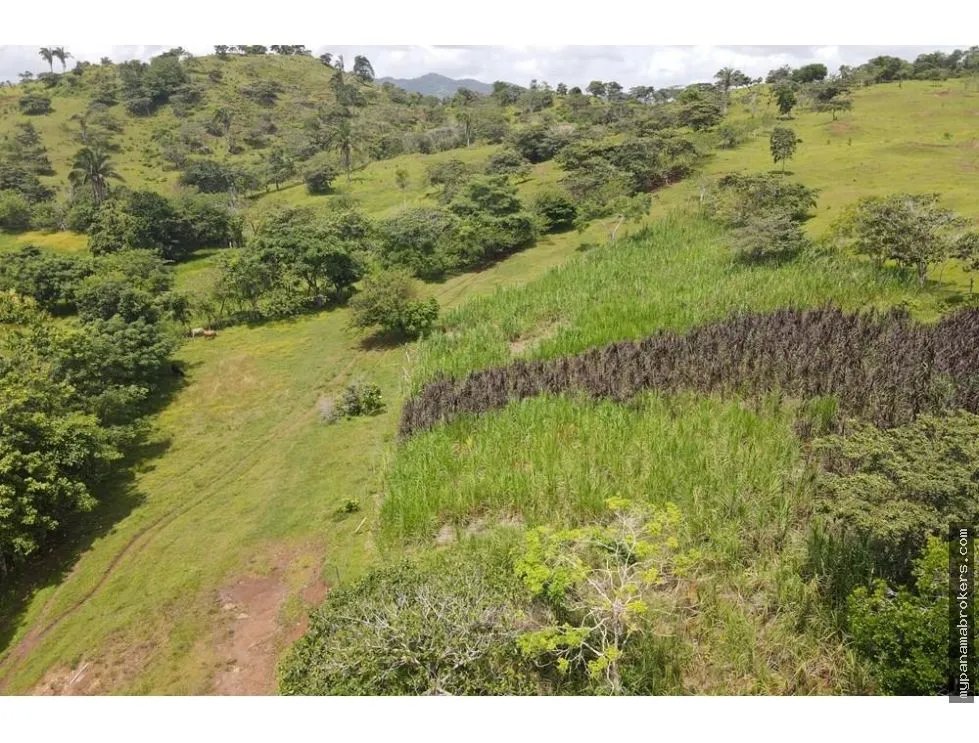 Se vende finca en La Chorrera, Panama Oeste