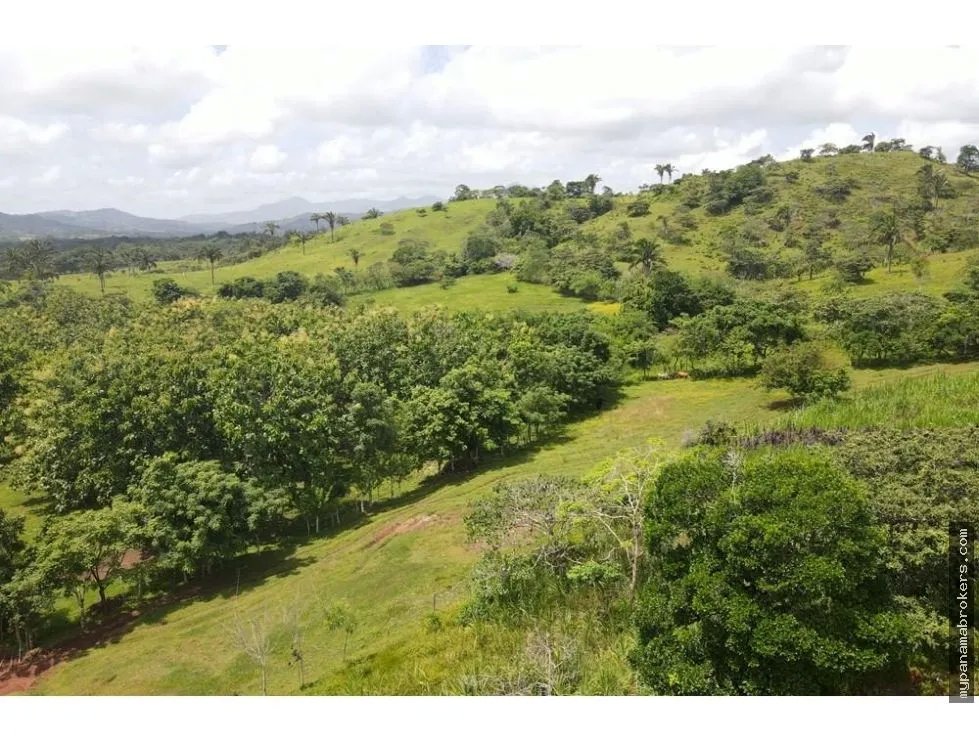 Se vende finca en La Chorrera, Panama Oeste