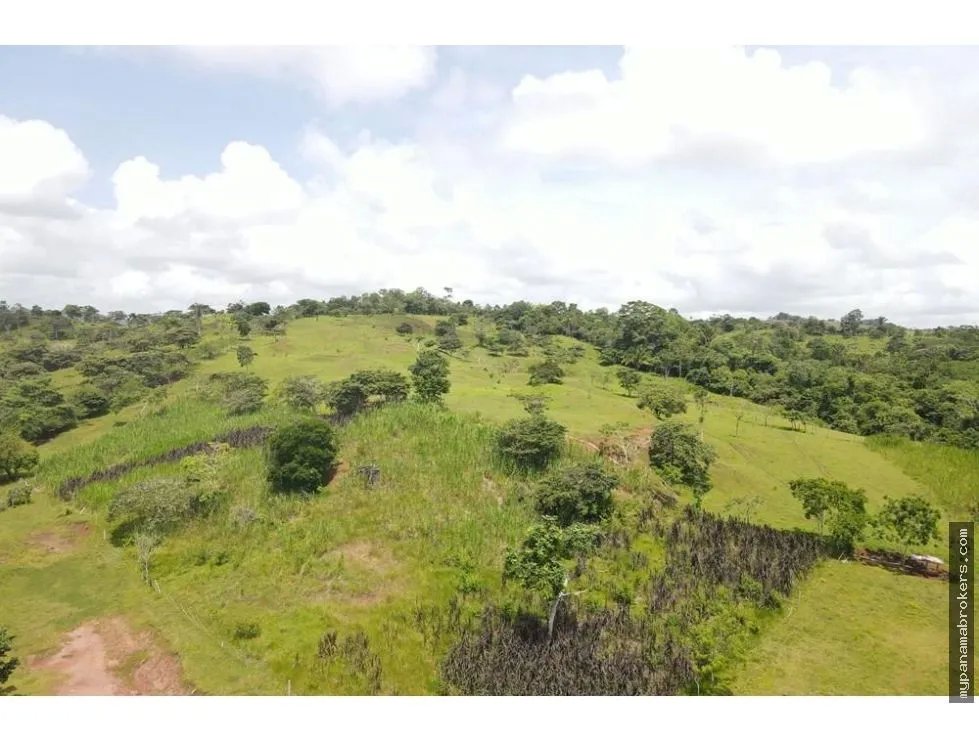 Se vende finca en La Chorrera, Panama Oeste