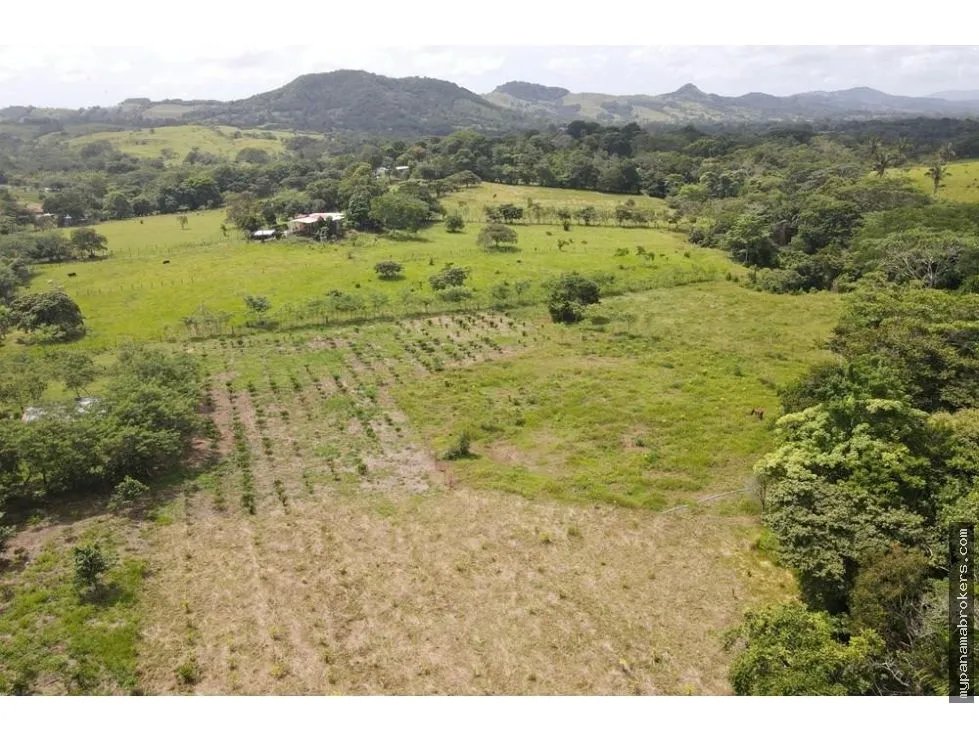 Se vende finca en La Chorrera, Panama Oeste