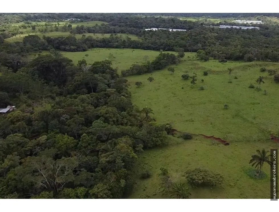 Se vende finca en La Chorrera, Panama Oeste