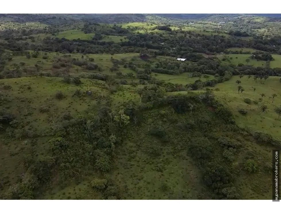Se vende finca en La Chorrera, Panama Oeste