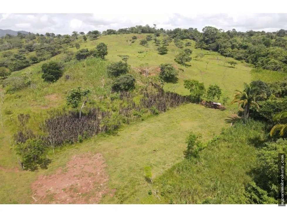 Se vende finca en La Chorrera, Panama Oeste