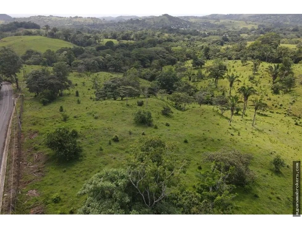 Se vende finca en La Chorrera, Panama Oeste