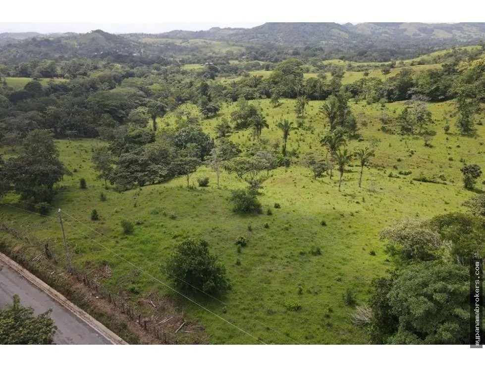 Se vende finca en La Chorrera, Panama Oeste