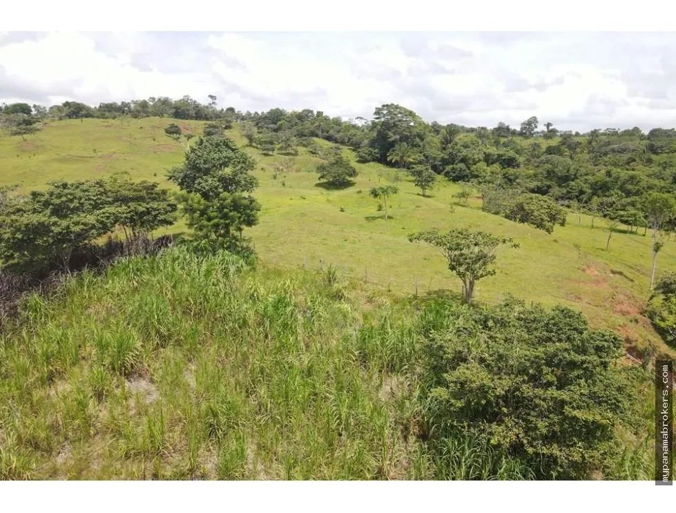 Se vende finca en La Chorrera, Panama Oeste