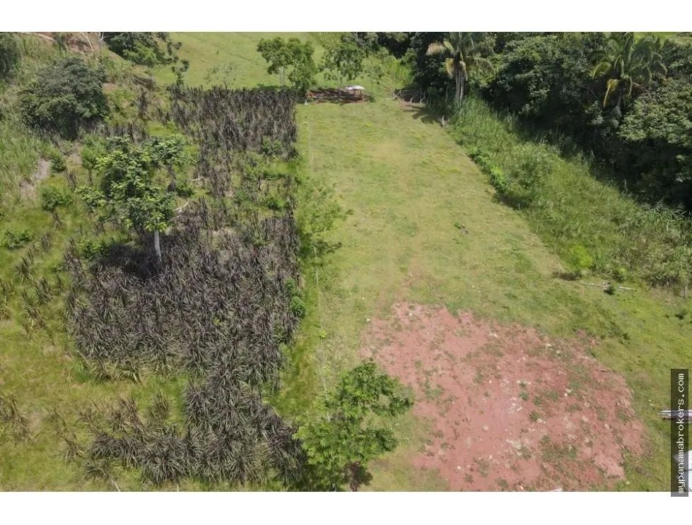 Se vende finca en La Chorrera, Panama Oeste
