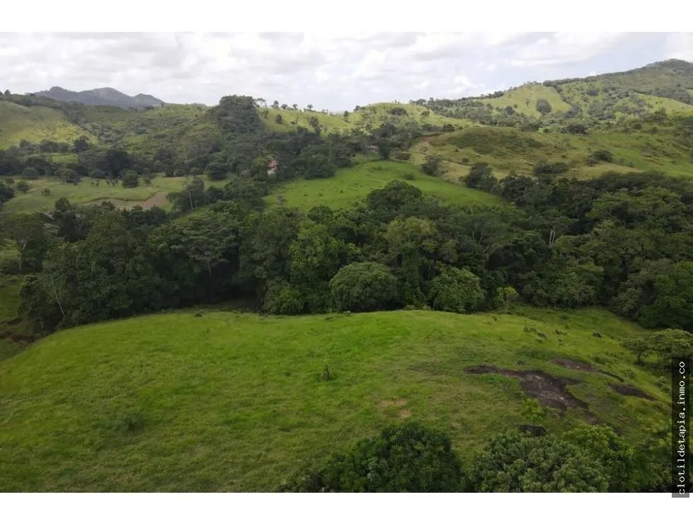 Se vende finca en La Chorrera, Panamá Oeste