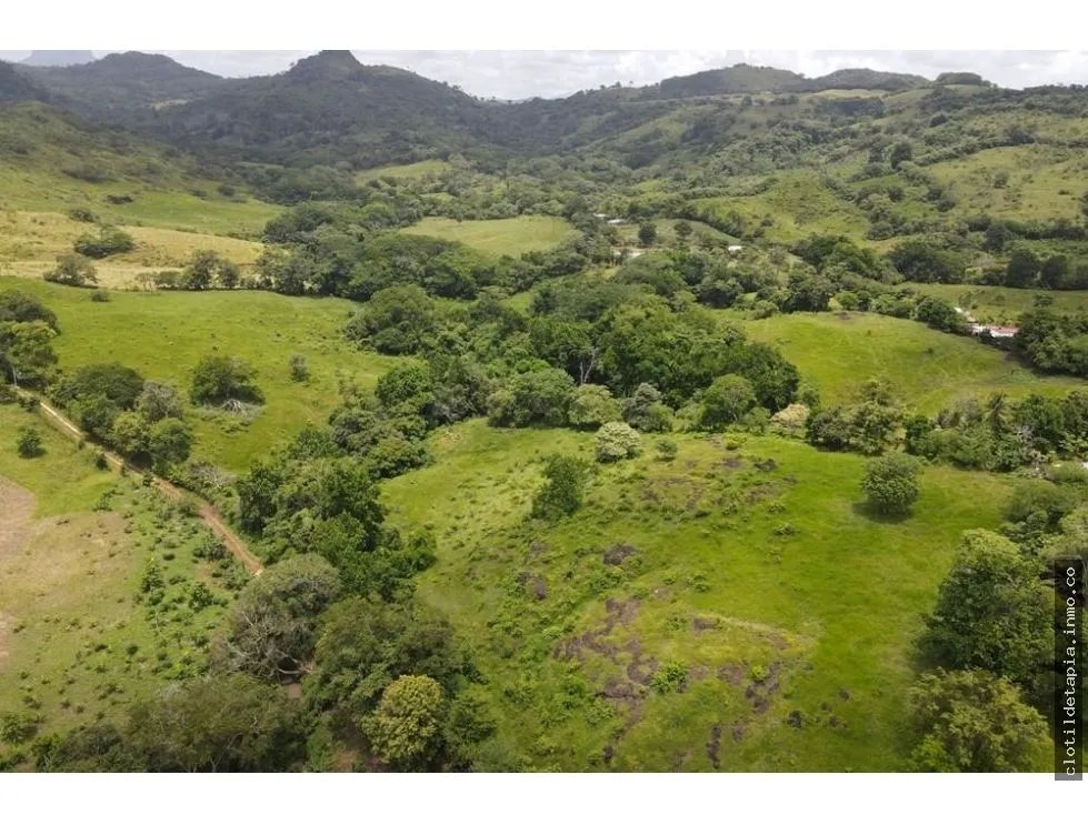 Se vende finca en La Chorrera, Panamá Oeste