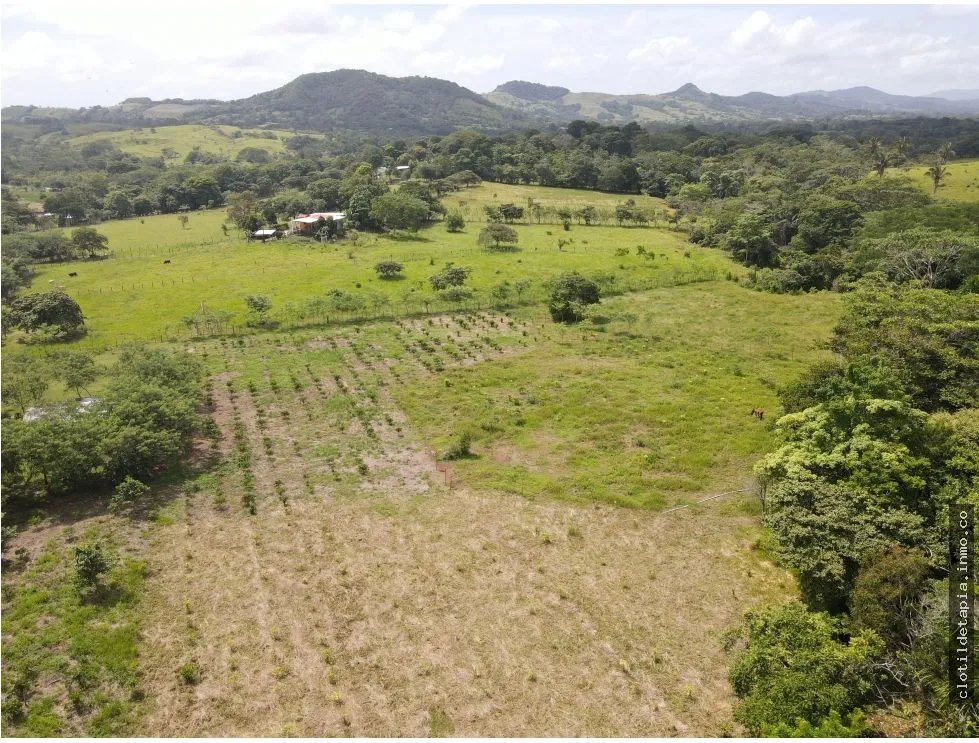Se vende finca en La Chorrera, Panama Oeste