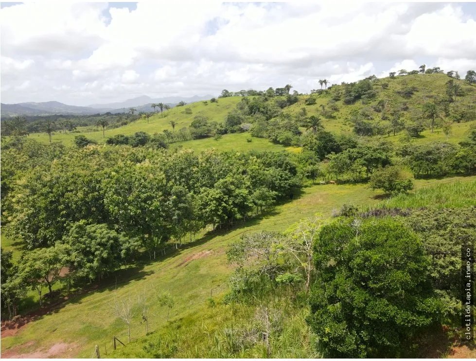Se vende finca en La Chorrera, Panama Oeste
