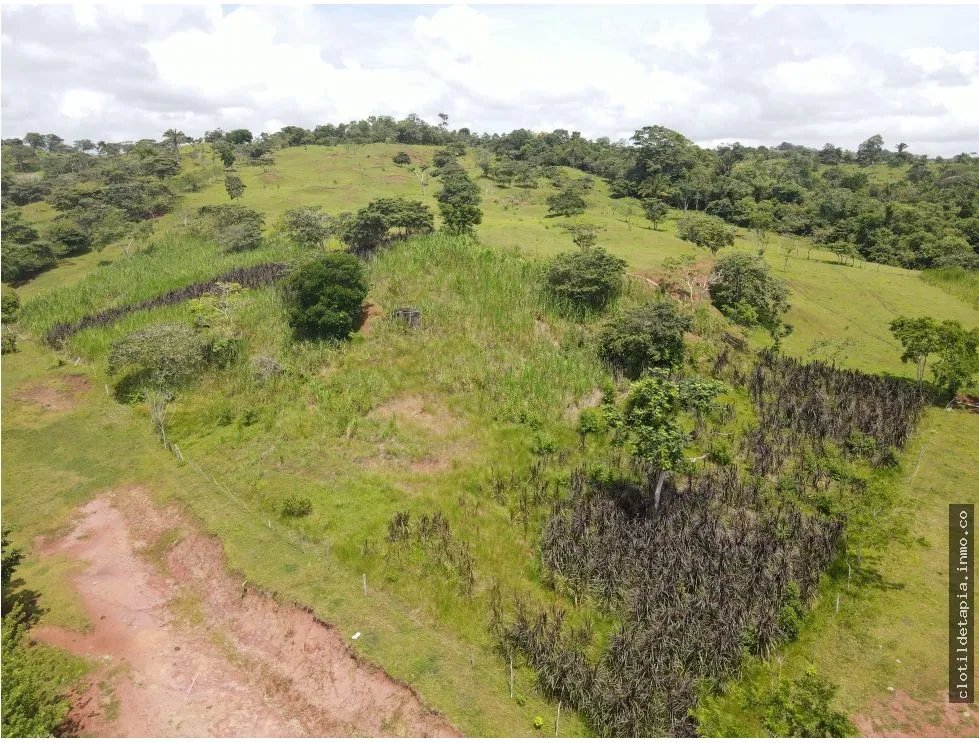Se vende finca en La Chorrera, Panama Oeste