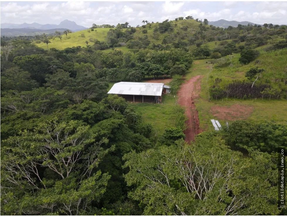 Se vende finca en La Chorrera, Panama Oeste