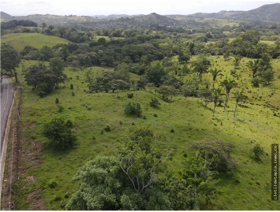 Se vende finca en La Chorrera, Panama Oeste