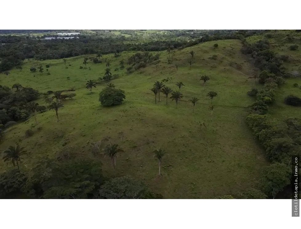 Se vende finca en La Chorrera, Panama Oeste