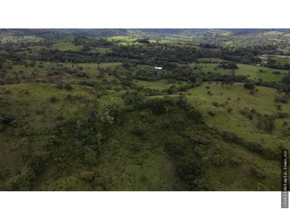 Se vende finca en La Chorrera, Panama Oeste