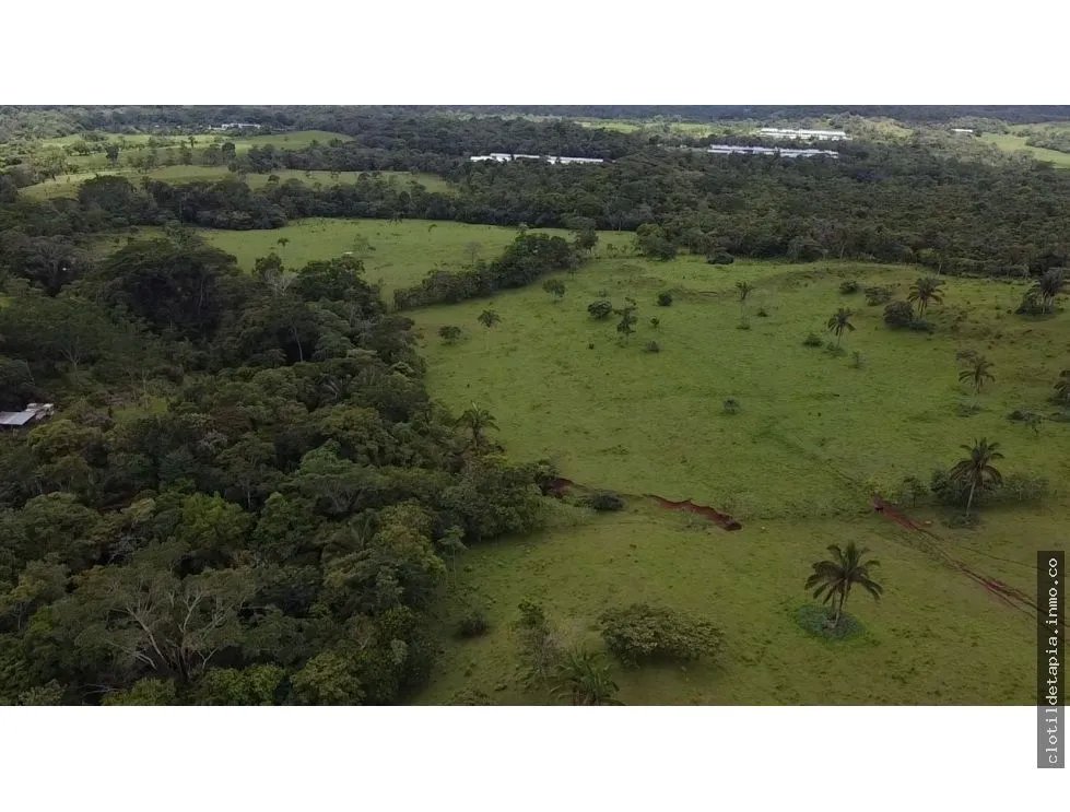 Se vende finca en La Chorrera, Panama Oeste