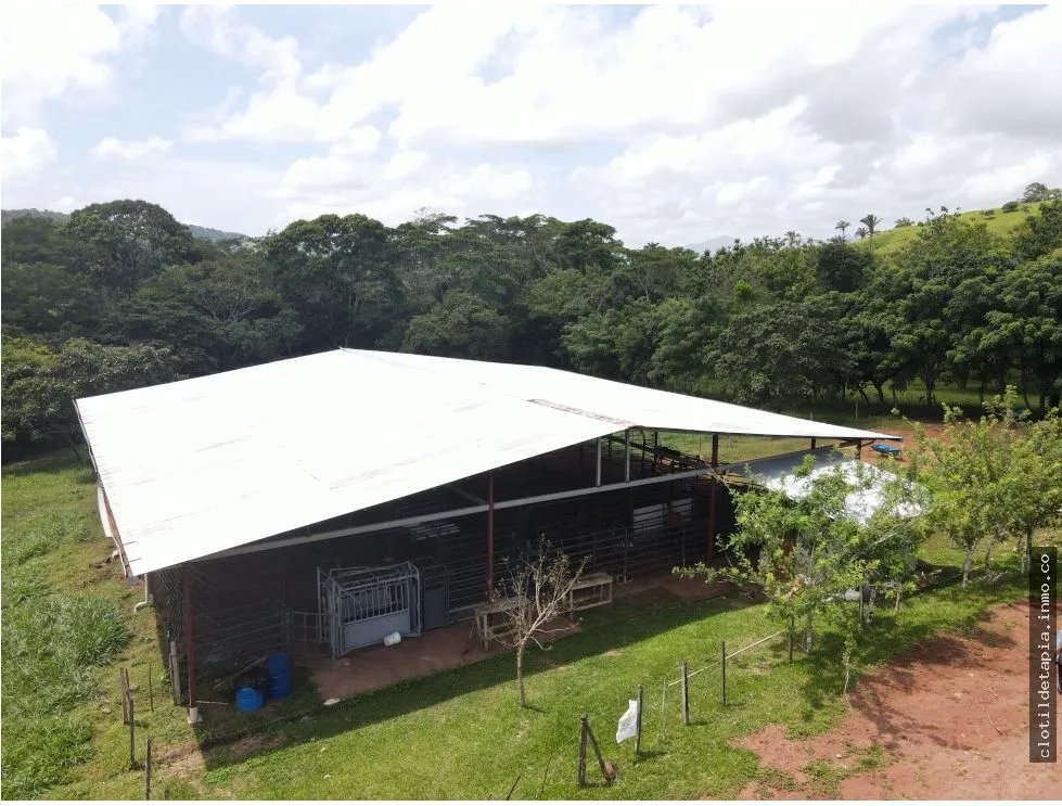 Se vende finca en La Chorrera, Panama Oeste