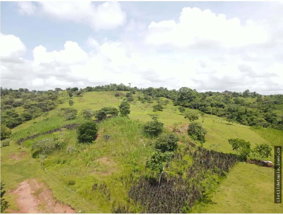 Se vende finca en La Chorrera, Panama Oeste