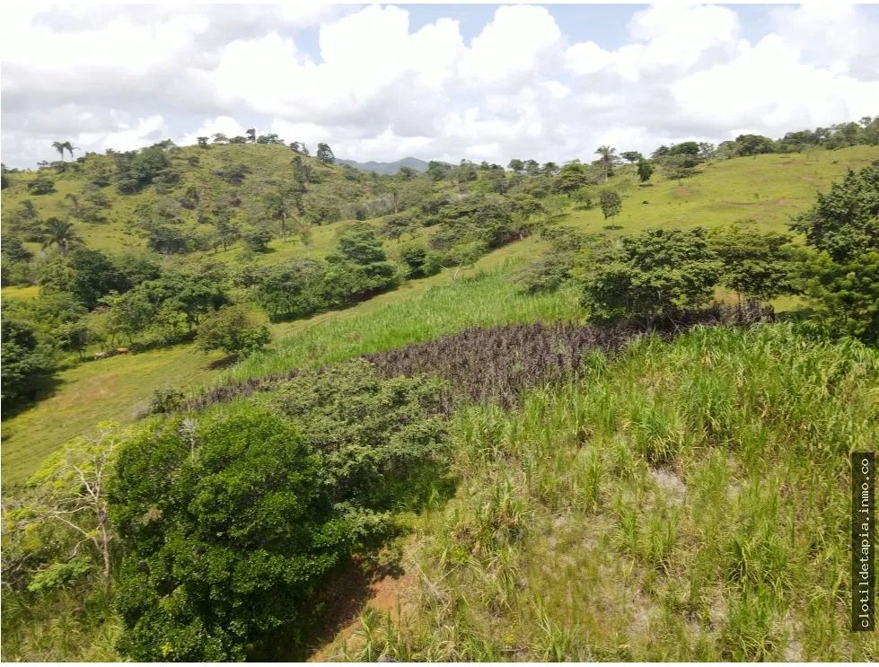 Se vende finca en La Chorrera, Panama Oeste