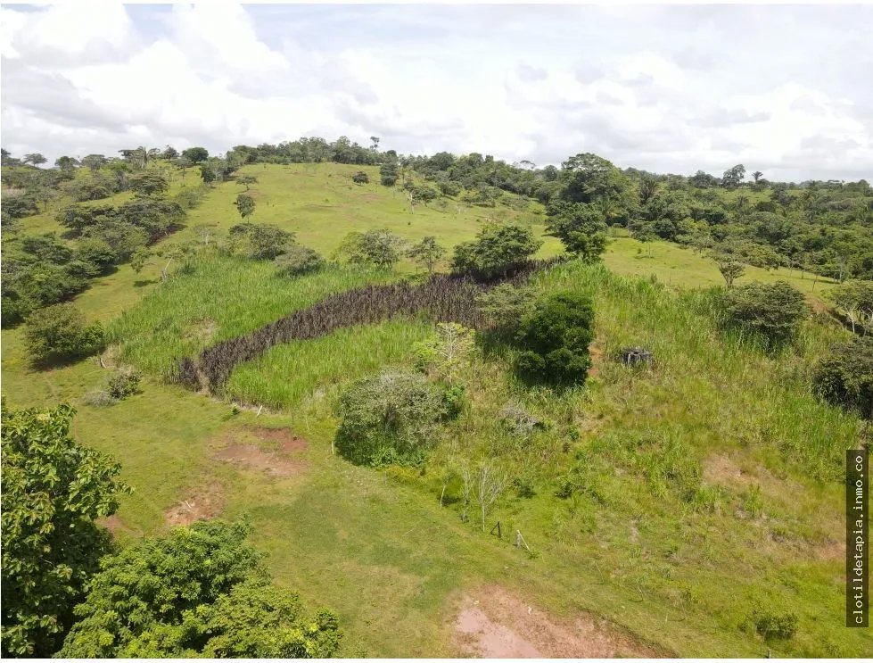 Se vende finca en La Chorrera, Panama Oeste