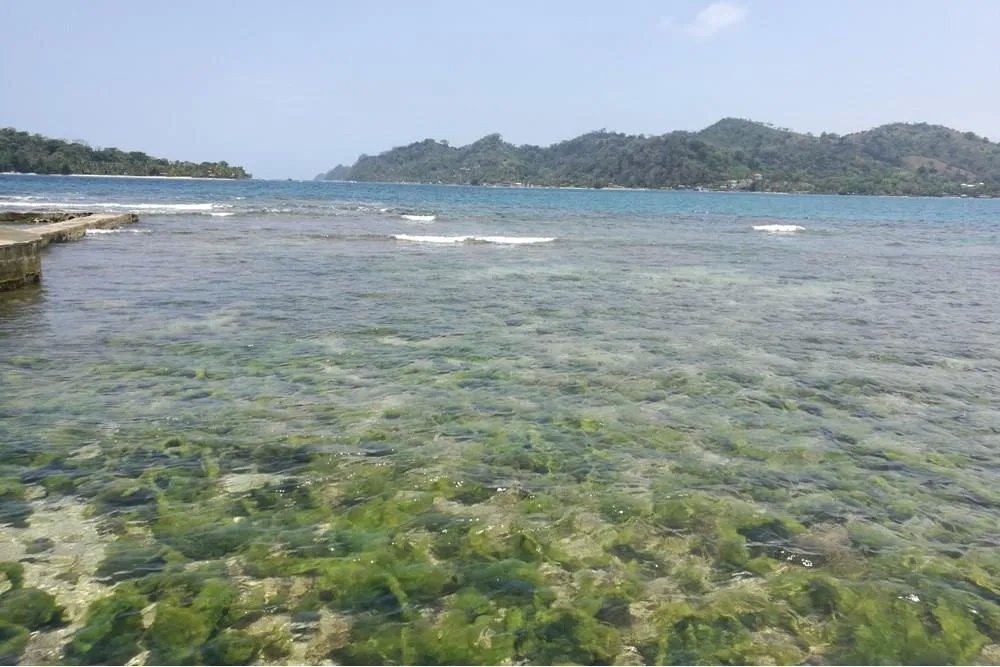 Lote con Isla y Playa en venta en Bahía Cacique, Portobelo, Colón