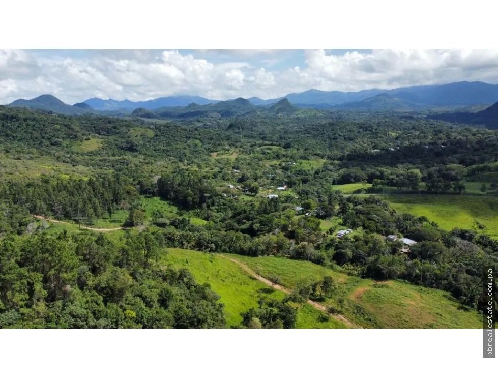 Venta de finca en producción, Coclé