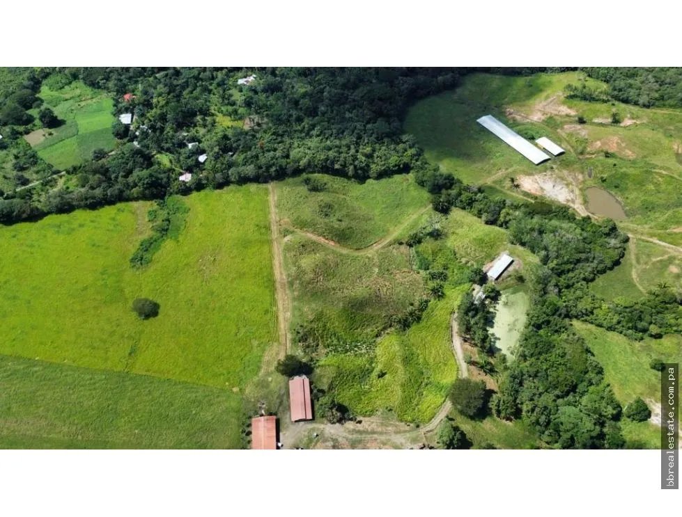 Venta de finca en producción, Coclé