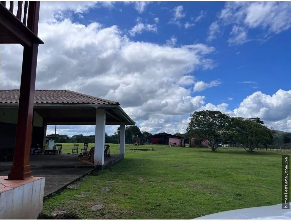 Land/Farm for sale in Penonome