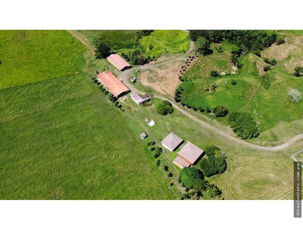 Land/Farm for sale in Penonome