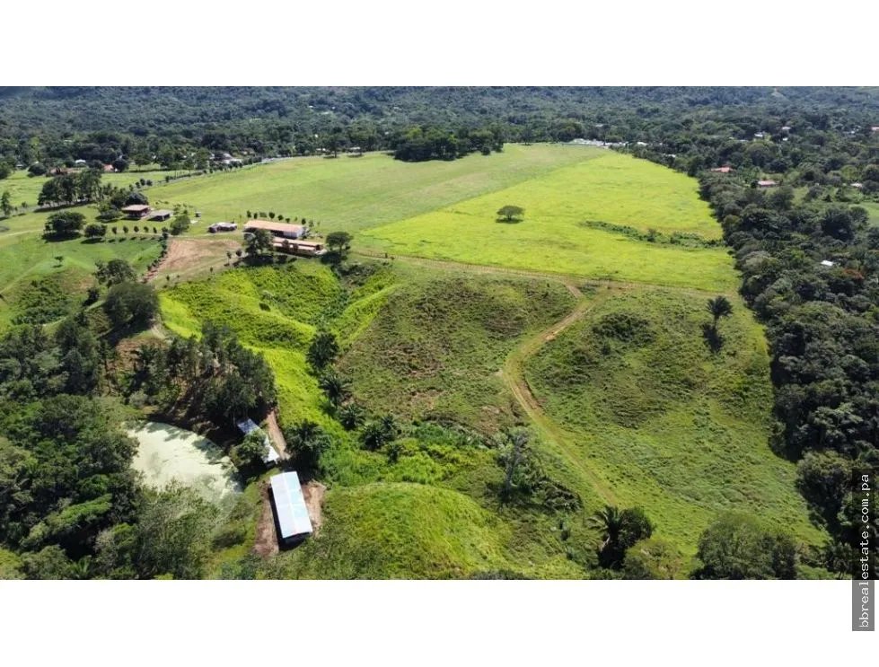 Land/Farm for sale in Penonome