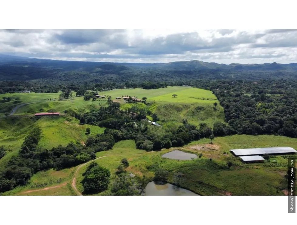 Land/Farm for sale in Penonome