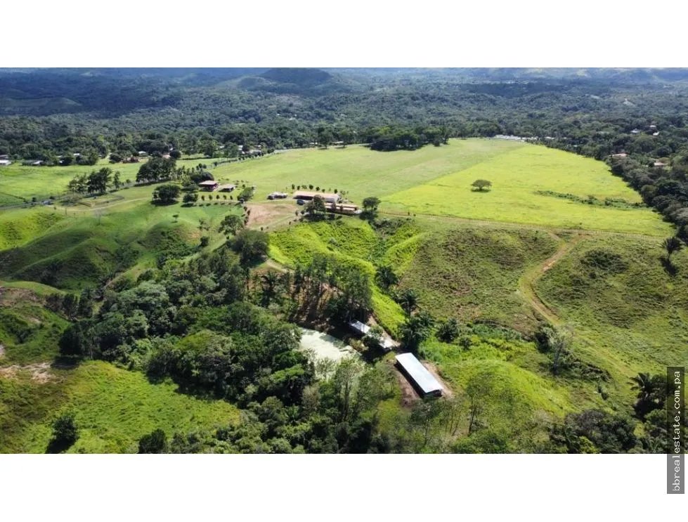 Land/Farm for sale in Penonome