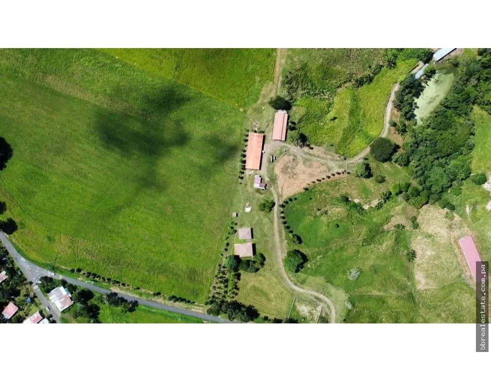 Land/Farm for sale in Penonome